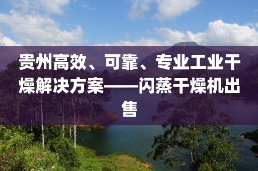 贵州高效、可靠、专业工业干燥解决方案——闪蒸干燥机出售