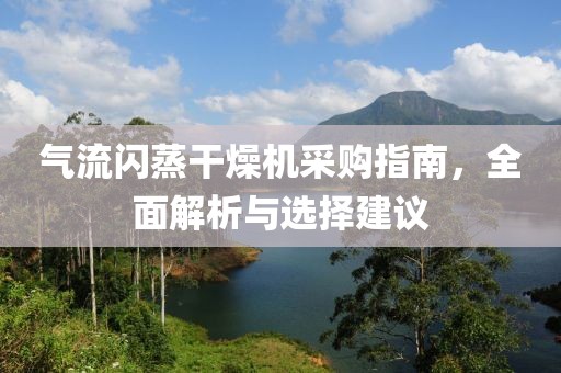 气流闪蒸干燥机采购指南，全面解析与选择建议