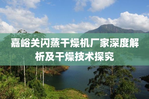 嘉峪关闪蒸干燥机厂家深度解析及干燥技术探究