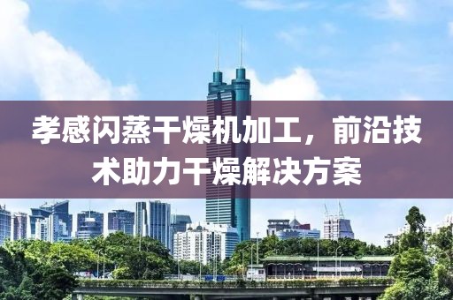 孝感闪蒸干燥机加工，前沿技术助力干燥解决方案