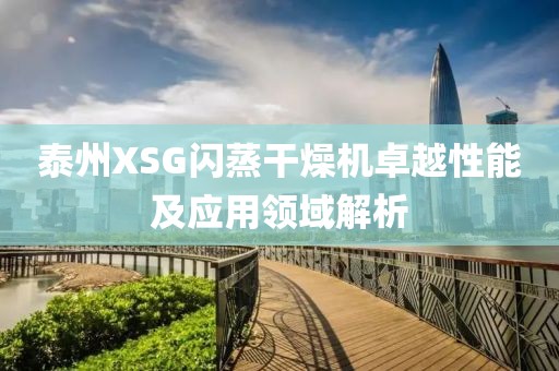 泰州XSG闪蒸干燥机卓越性能及应用领域解析