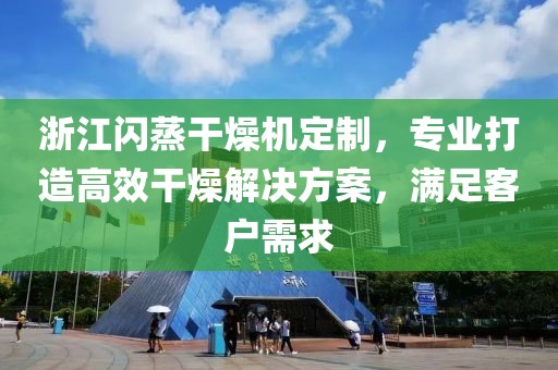 浙江闪蒸干燥机定制，专业打造高效干燥解决方案，满足客户需求