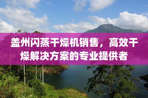 盖州闪蒸干燥机销售，高效干燥解决方案的专业提供者