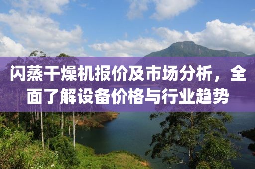 闪蒸干燥机报价及市场分析，全面了解设备价格与行业趋势