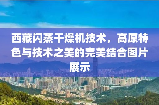 西藏闪蒸干燥机技术，高原特色与技术之美的完美结合图片展示