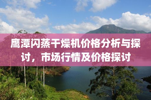 鹰潭闪蒸干燥机价格分析与探讨，市场行情及价格探讨