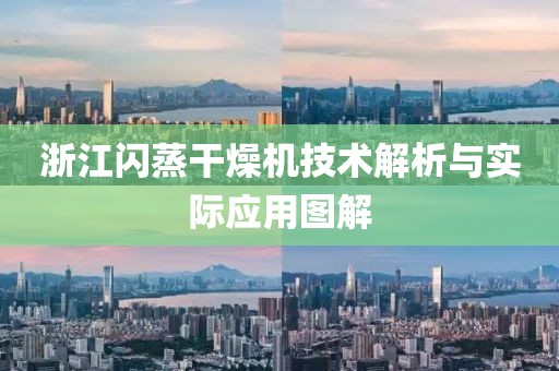 浙江闪蒸干燥机技术解析与实际应用图解