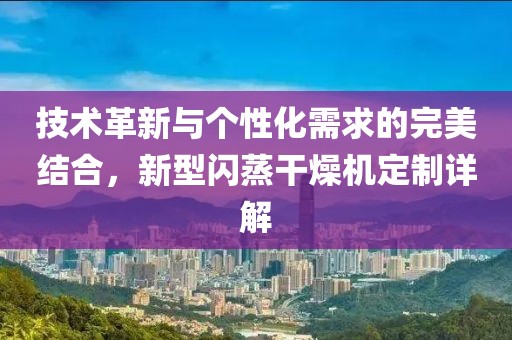 技术革新与个性化需求的完美结合，新型闪蒸干燥机定制详解