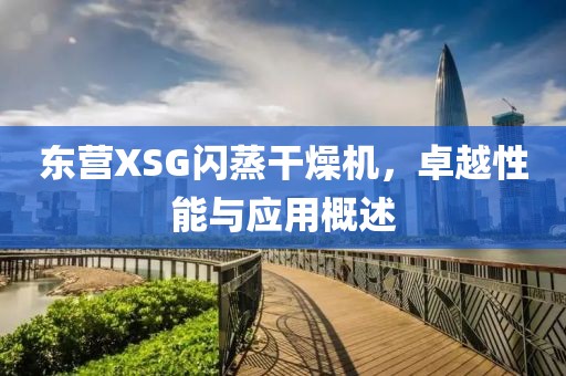 东营XSG闪蒸干燥机，卓越性能与应用概述