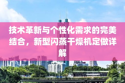 技术革新与个性化需求的完美结合，新型闪蒸干燥机定做详解