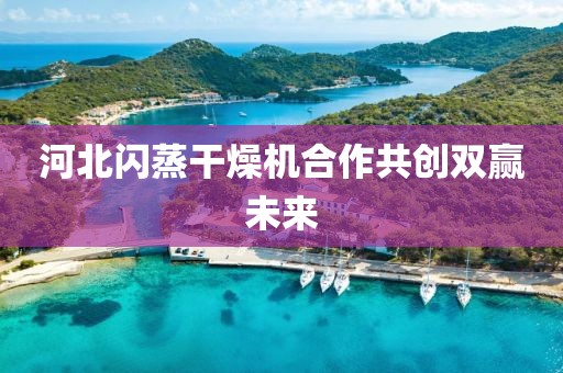 河北闪蒸干燥机合作共创双赢未来