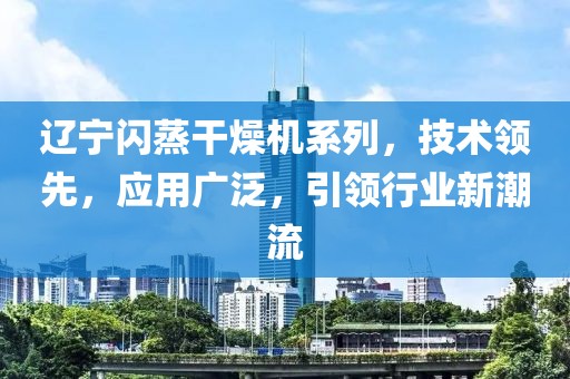 辽宁闪蒸干燥机系列，技术领先，应用广泛，引领行业新潮流