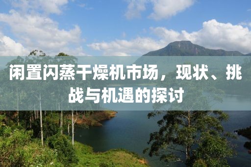 闲置闪蒸干燥机市场，现状、挑战与机遇的探讨