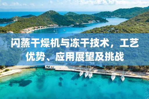 闪蒸干燥机与冻干技术，工艺优势、应用展望及挑战