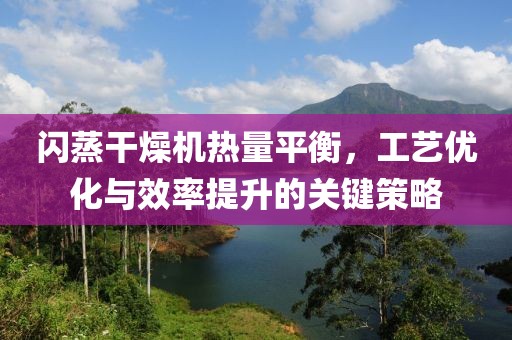 闪蒸干燥机热量平衡，工艺优化与效率提升的关键策略