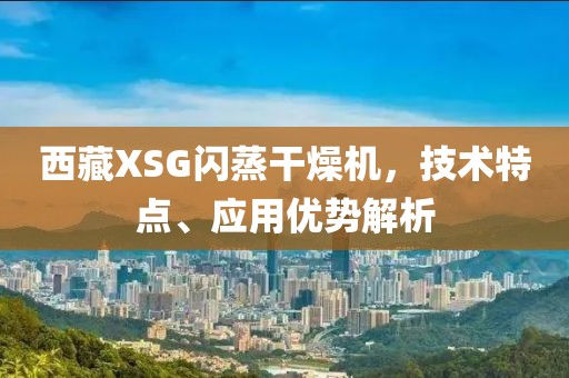 西藏XSG闪蒸干燥机，技术特点、应用优势解析