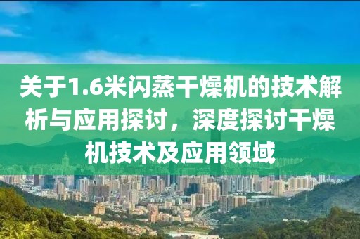 关于1.6米闪蒸干燥机的技术解析与应用探讨，深度探讨干燥机技术及应用领域