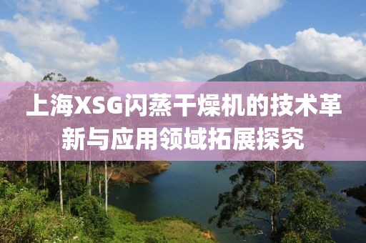 上海XSG闪蒸干燥机的技术革新与应用领域拓展探究