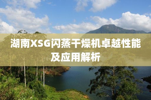 湖南XSG闪蒸干燥机卓越性能及应用解析