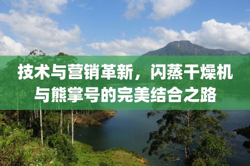 技术与营销革新，闪蒸干燥机与熊掌号的完美结合之路