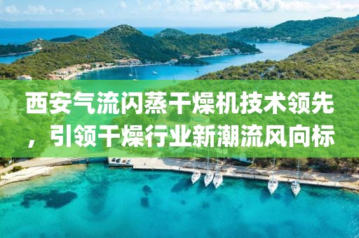 西安气流闪蒸干燥机技术领先，引领干燥行业新潮流风向标