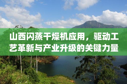 山西闪蒸干燥机应用，驱动工艺革新与产业升级的关键力量