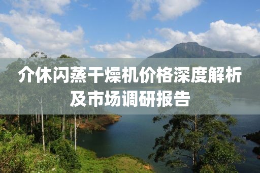 介休闪蒸干燥机价格深度解析及市场调研报告