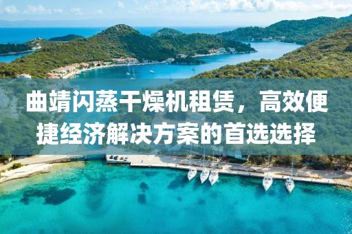 曲靖闪蒸干燥机租赁，高效便捷经济解决方案的首选选择