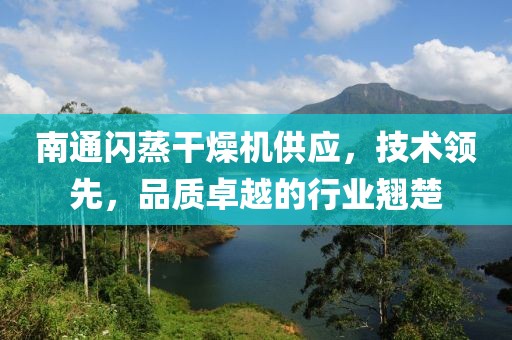 南通闪蒸干燥机供应，技术领先，品质卓越的行业翘楚