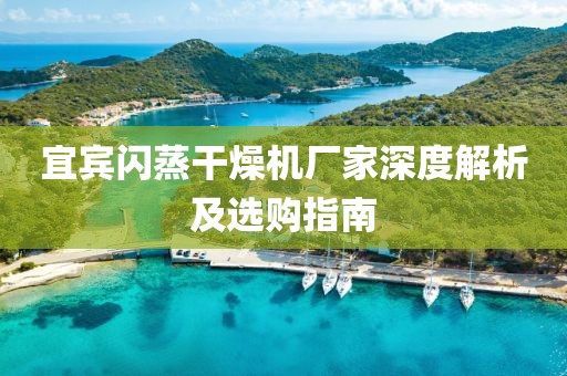 宜宾闪蒸干燥机厂家深度解析及选购指南