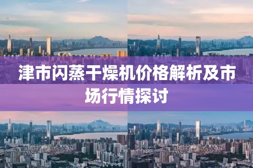 津市闪蒸干燥机价格解析及市场行情探讨