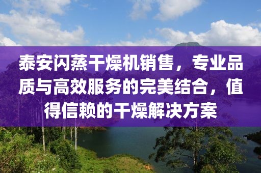 泰安闪蒸干燥机销售，专业品质与高效服务的完美结合，值得信赖的干燥解决方案