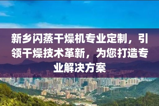 新乡闪蒸干燥机专业定制，引领干燥技术革新，为您打造专业解决方案