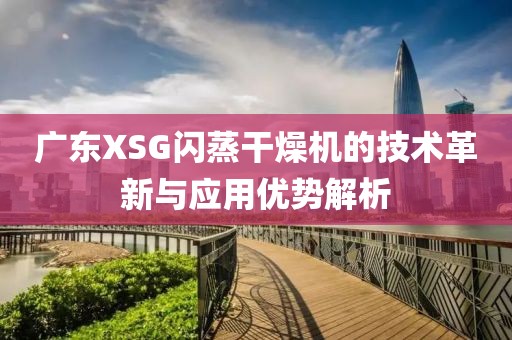 广东XSG闪蒸干燥机的技术革新与应用优势解析