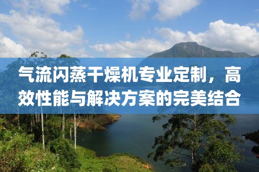 气流闪蒸干燥机专业定制，高效性能与解决方案的完美结合