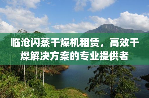 临沧闪蒸干燥机租赁，高效干燥解决方案的专业提供者