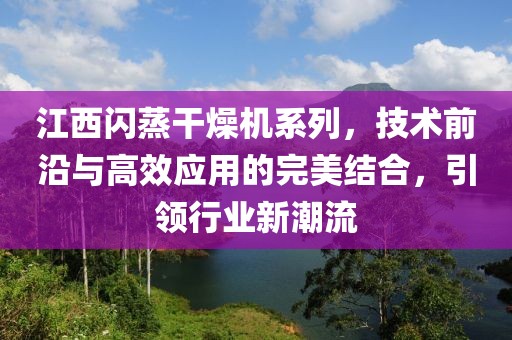 江西闪蒸干燥机系列，技术前沿与高效应用的完美结合，引领行业新潮流