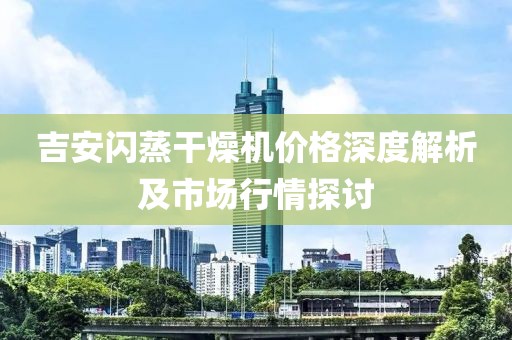 吉安闪蒸干燥机价格深度解析及市场行情探讨