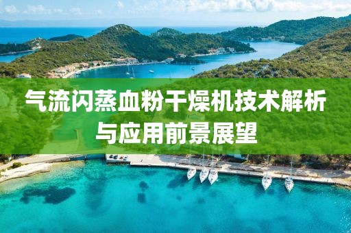 气流闪蒸血粉干燥机技术解析与应用前景展望