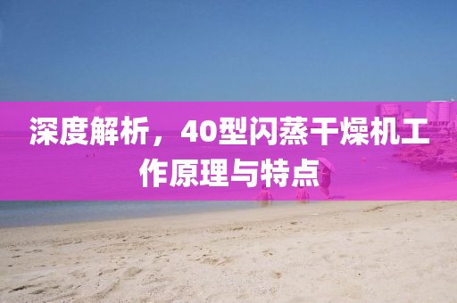 深度解析，40型闪蒸干燥机工作原理与特点