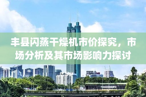 丰县闪蒸干燥机市价探究，市场分析及其市场影响力探讨