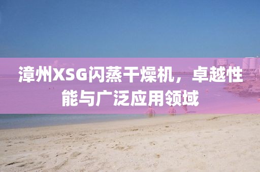 漳州XSG闪蒸干燥机，卓越性能与广泛应用领域