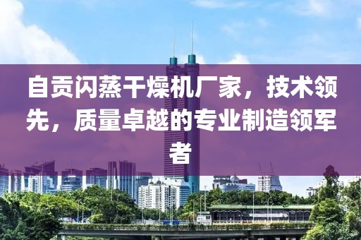 自贡闪蒸干燥机厂家，技术领先，质量卓越的专业制造领军者