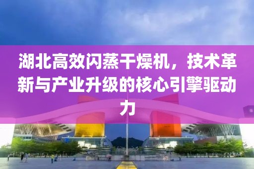 湖北高效闪蒸干燥机，技术革新与产业升级的核心引擎驱动力