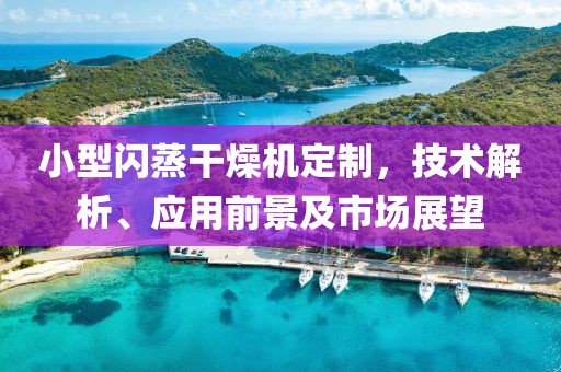 小型闪蒸干燥机定制，技术解析、应用前景及市场展望