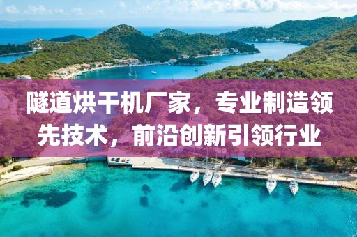 隧道烘干机厂家，专业制造领先技术，前沿创新引领行业