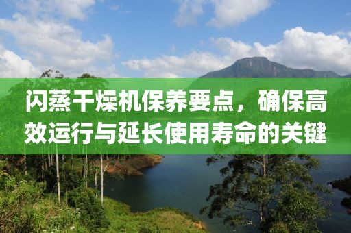 闪蒸干燥机保养要点，确保高效运行与延长使用寿命的关键