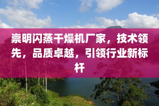 崇明闪蒸干燥机厂家，技术领先，品质卓越，引领行业新标杆