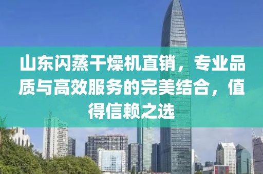 山东闪蒸干燥机直销，专业品质与高效服务的完美结合，值得信赖之选