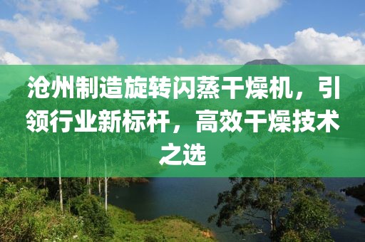 沧州制造旋转闪蒸干燥机，引领行业新标杆，高效干燥技术之选